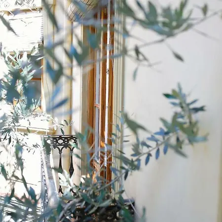 L'arbre *
